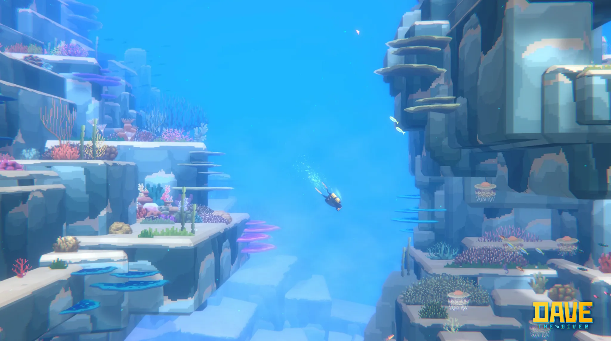 蓝洞海底